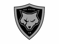 Bad Wolves - promoted with Haulix